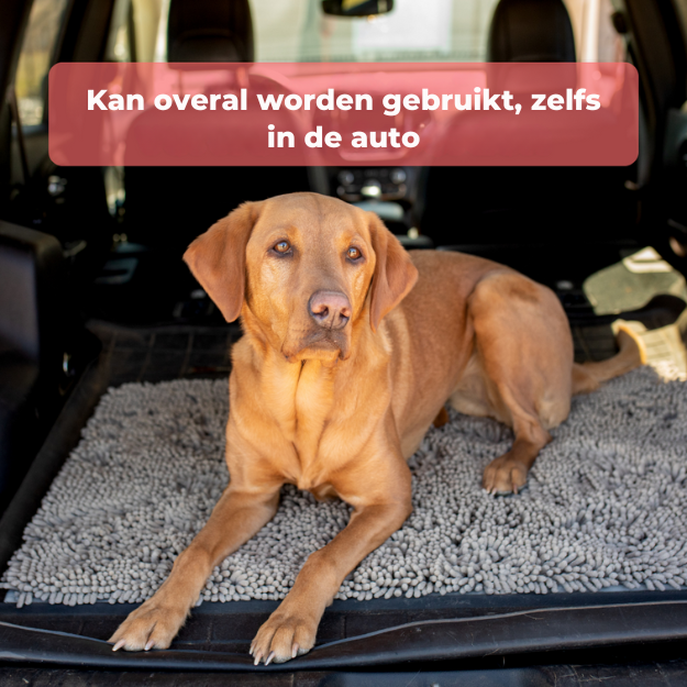 Cleanmat l Dieren deurmat