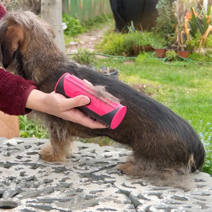 Dieren borstel